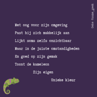 Wenskaart Kameleon