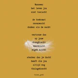 Poëzieposter Veerkracht