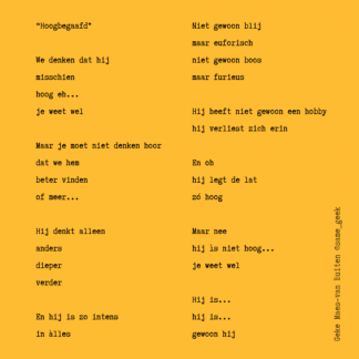 Poëzieposter Hoogbegaafd