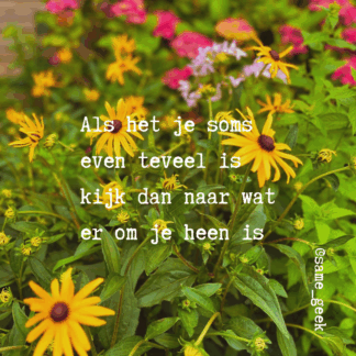 Wenskaart Om je heen